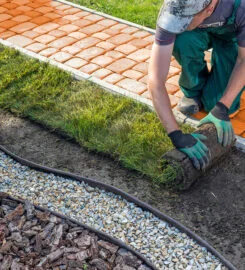 11062b_1368fb4e94f647d2b467b0a941749dd3mv2-245×270-1