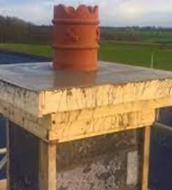 download-16-245×270-1