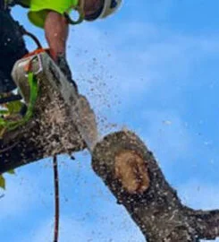 King’s Groundworks